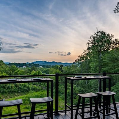 2025 (NEW) MTN RESORT: A+ LOCATION, VIEWS, PRIVACY, POOL. PRIVATE DEER SANCTUARY
